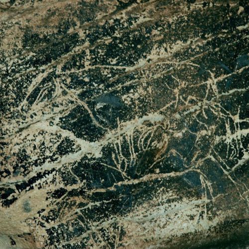 Vista de arte rupestre, con varios animales superpuestos, rayados sobre la superficie de la roca
