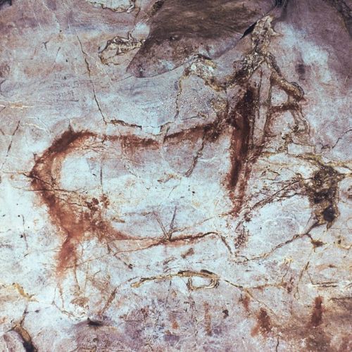 Vista de arte rupestre que representa a una cierva en tonos rojizos sobre la roca